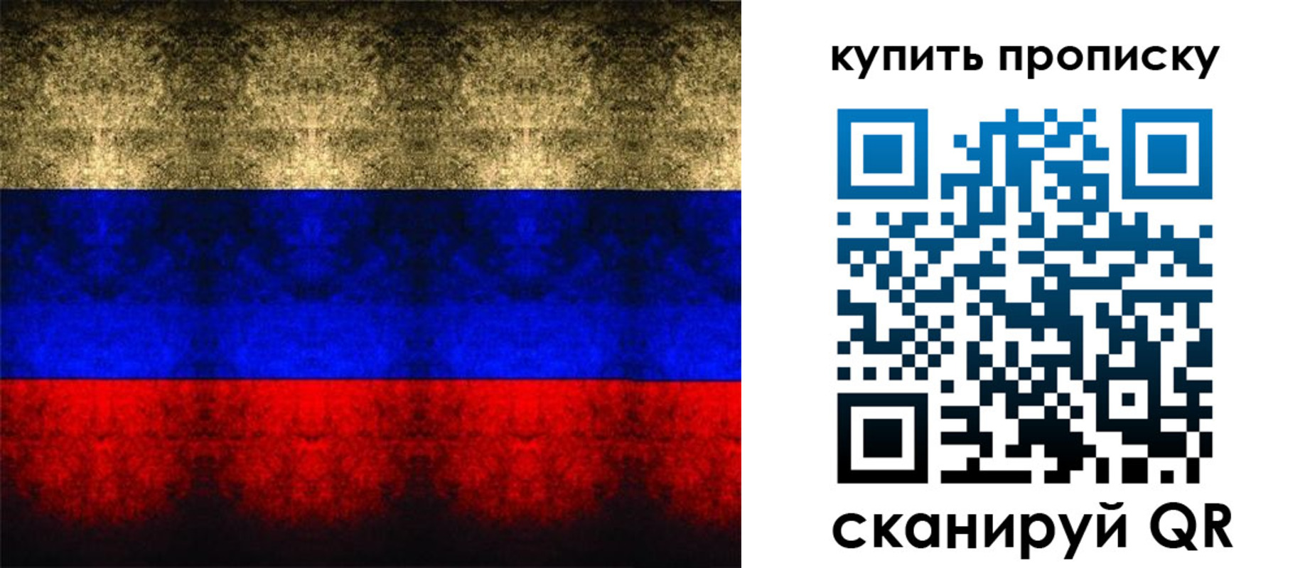 прописка в Невеле